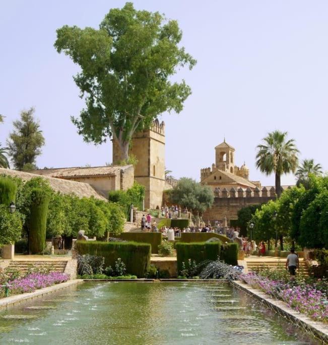 Apartamento Loft Al-Nasir Junto Al Casco Historico Córdoba Buitenkant foto